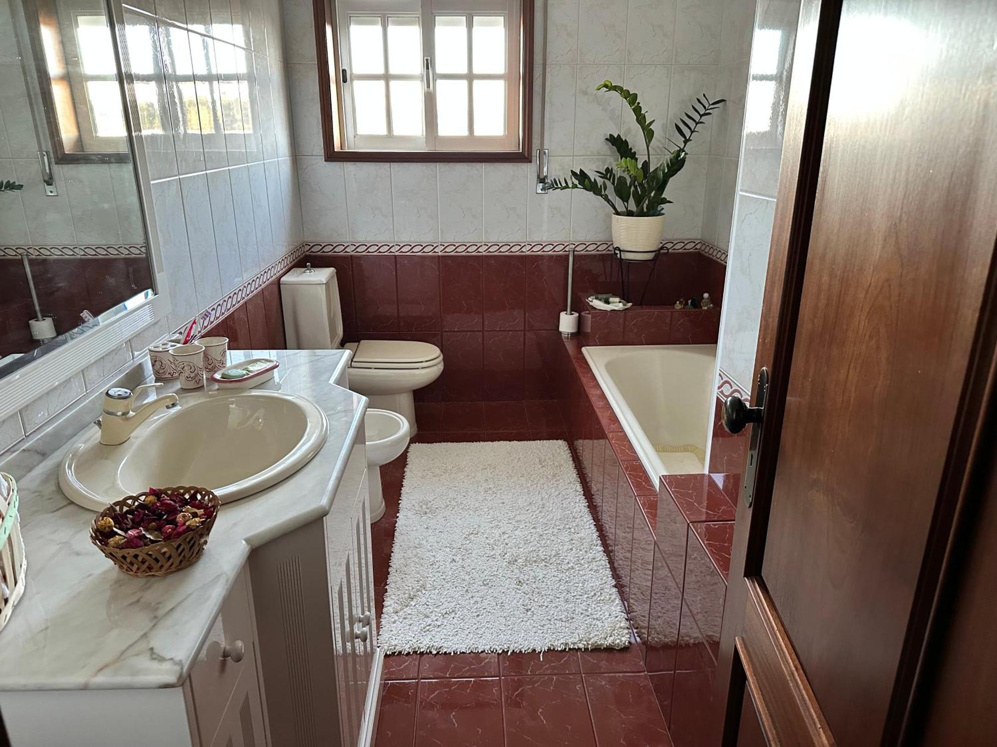 Canedo Oliveirasアパートメント エクステリア 写真